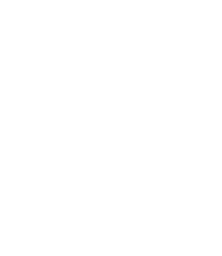 Global Felicity Group Document Services